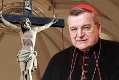 US cardinal says his concerns about synod are sign of faith