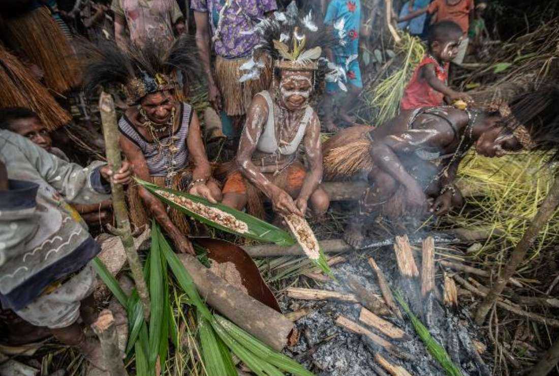 Indigenous Papuan women of Awyu tribe cook sago worms during a ceremony of installing a cross sign in Kowo village, Boven Digoel, South Papua.