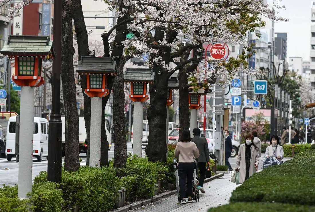 People walk along a street under cherry blossoms in the Ningyocho area of Tokyo on March 28.