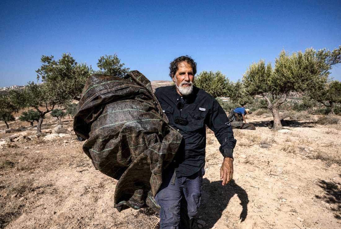 US-born Israeli Reform Jewish rabbi Arik Ascherman, a member of the Israeli human rights organization Rabbis for Human Rights helps Palestinians during the olive harvest at a grove outside Ramallah in the occupied West Bank on Nov. 9. 