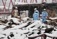 Japan earthquake toll hits 161