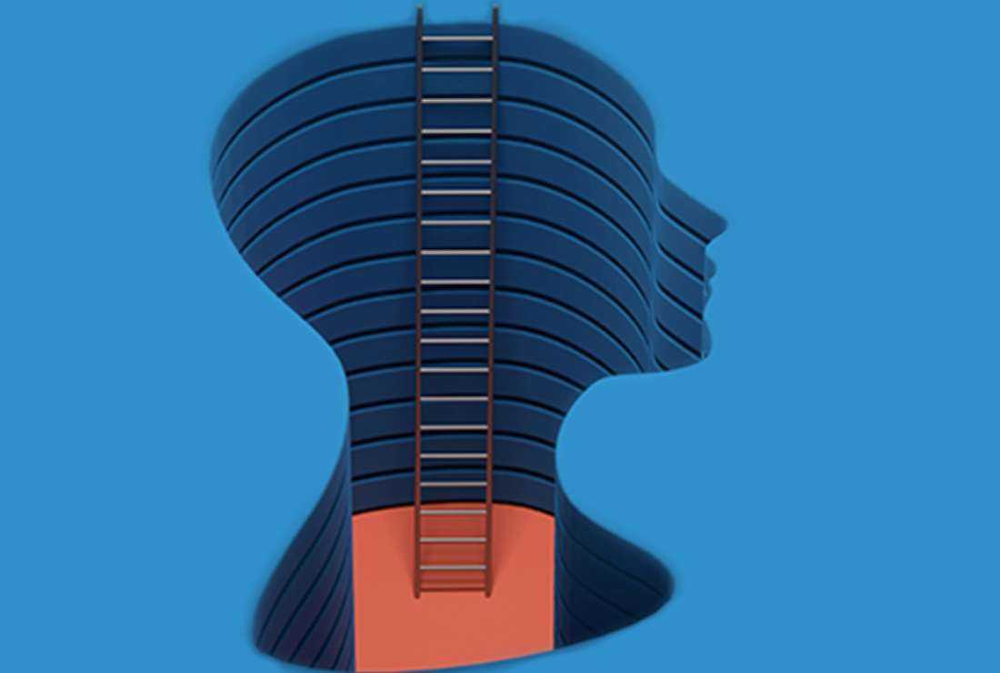 An artistic image of a human head and ladder.