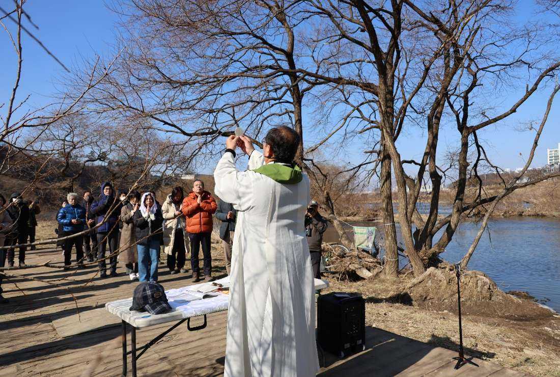 Forest Mass campaign aims to save under threat Korean wetland - Vimarsana News