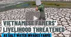 Farmers in Vietnam face freshwater shortage amidst salinization