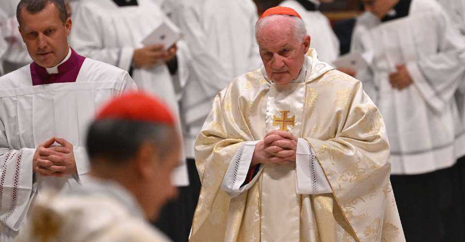Court condemns cardinal for 'infamous' dismissal of French nun - Vimarsana News