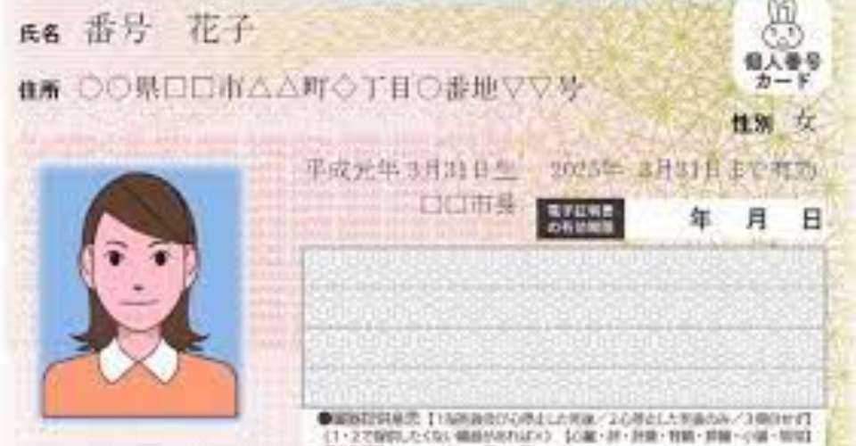 Since the inception of 'My Number' system almost 10 years ago, around 99 million digital ID cards have been issued to 80 percent of Japan's population, including about 2.9 million cards to foreigners.