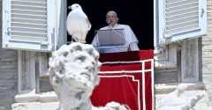 Pope appeals for prayers to change war-desiring hearts