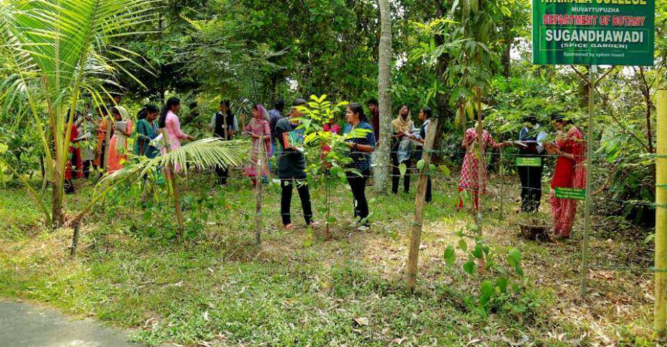 Students of Nirmala College in Kerala work in the college’s spice garden.