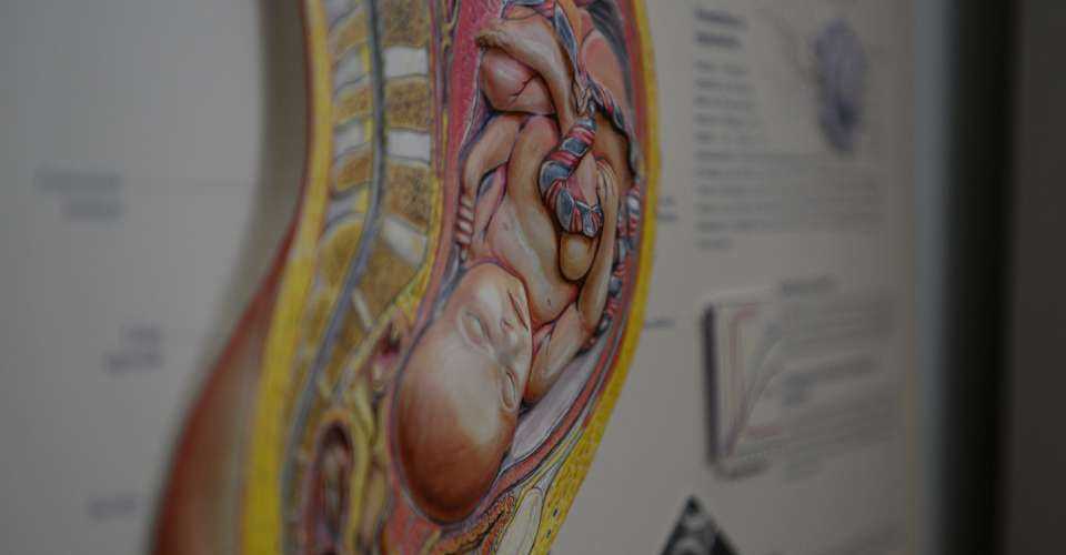 US bishops raise alarm over pregnant women in immigration detention