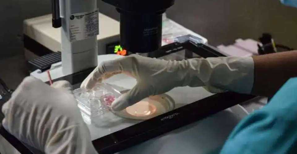 Should Singapore extend the age limit for elective egg freezing?