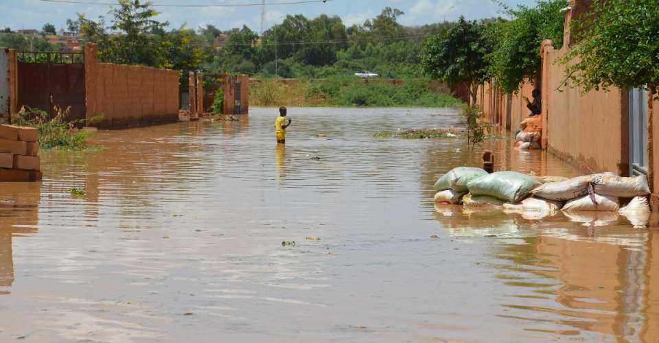 Nearly half of world's children face three or more climate risks: UNICEF