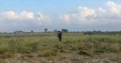 Indonesia passes agrarian reform law to boost peoples’ land rights