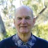 Andrew Hamilton